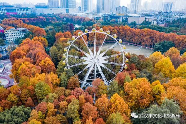 冬景|早安湖北｜武汉冬景，才不是你想的那样！