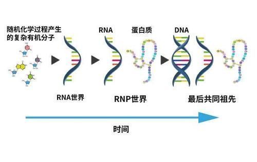 韩乐坊学习网