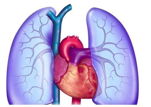 逐渐性|肺癌在“上身”之前,身体也许会亮起几个红灯,早知,早治,早好