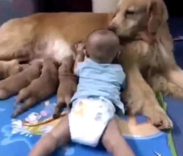 孩子|女子厨房做饭,发现孩子突然不见,着急出来寻找,结果却乐坏了