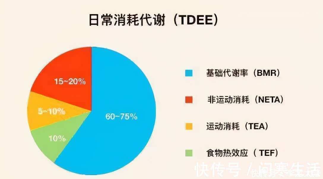 体脂率|怎么都吃不胖？这样的人并不存在！简单3招，养成易瘦体质