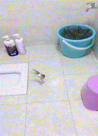 |搞笑GIF: 这要摔傻多少次,才能练成这样的技术呢