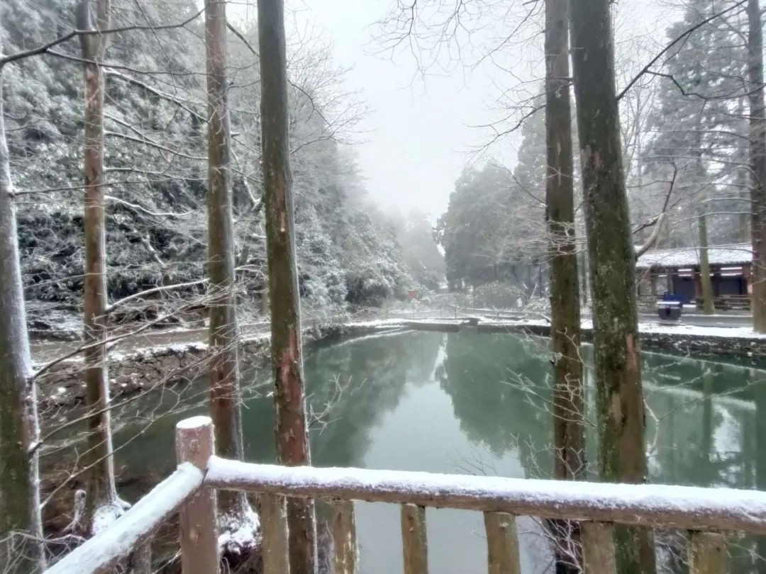 雪景|太美了！台州最新雪景！括苍山跌至-10℃，再现云海奇观（多图多视频）