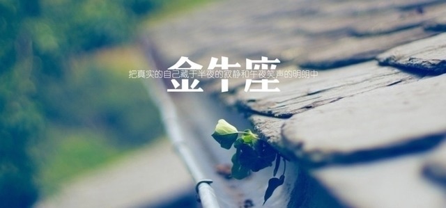 天蝎座|无法忍受“冷暴力”的星座，捂不热会果断放弃，绝不委屈全