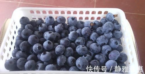 大肚腩|赘肉“害怕”的几种食物,每天换着吃,刮油消脂,轻松甩掉大肚腩!