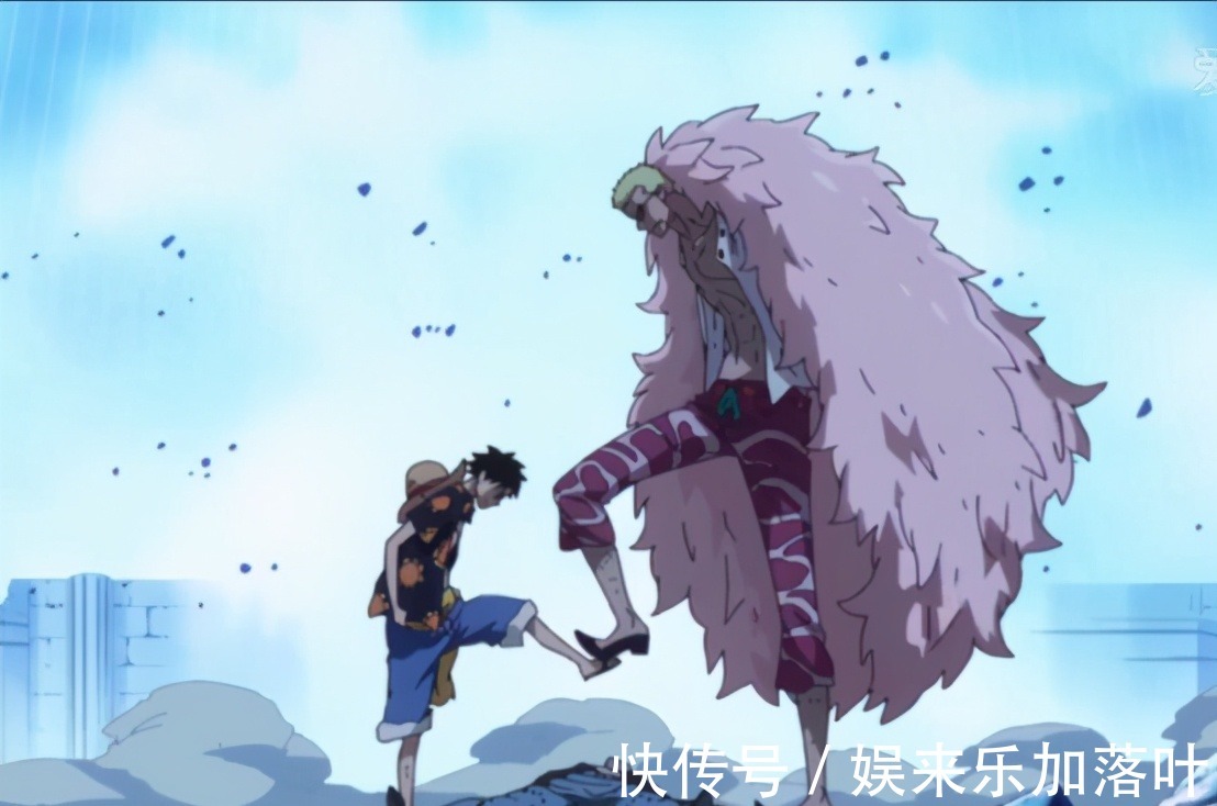 青雉|海贼王维系海军海贼最重要的七武海制度,却因藤虎的私欲被废除