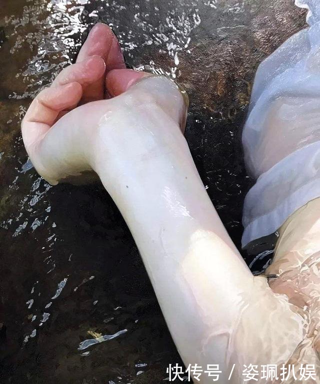 日本画家手绘落水少女,放大10倍水珠清晰可见,网友:哗众取宠