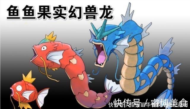 不死鸟|海贼王尾田正式公布凯多为鱼鱼果实青龙形态，四大神兽要来了