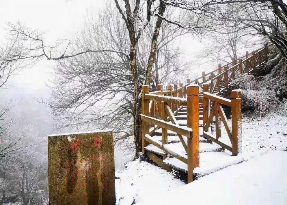 探秘幽深的历史隧道，重现风雨砥砺的传奇——阴平古道