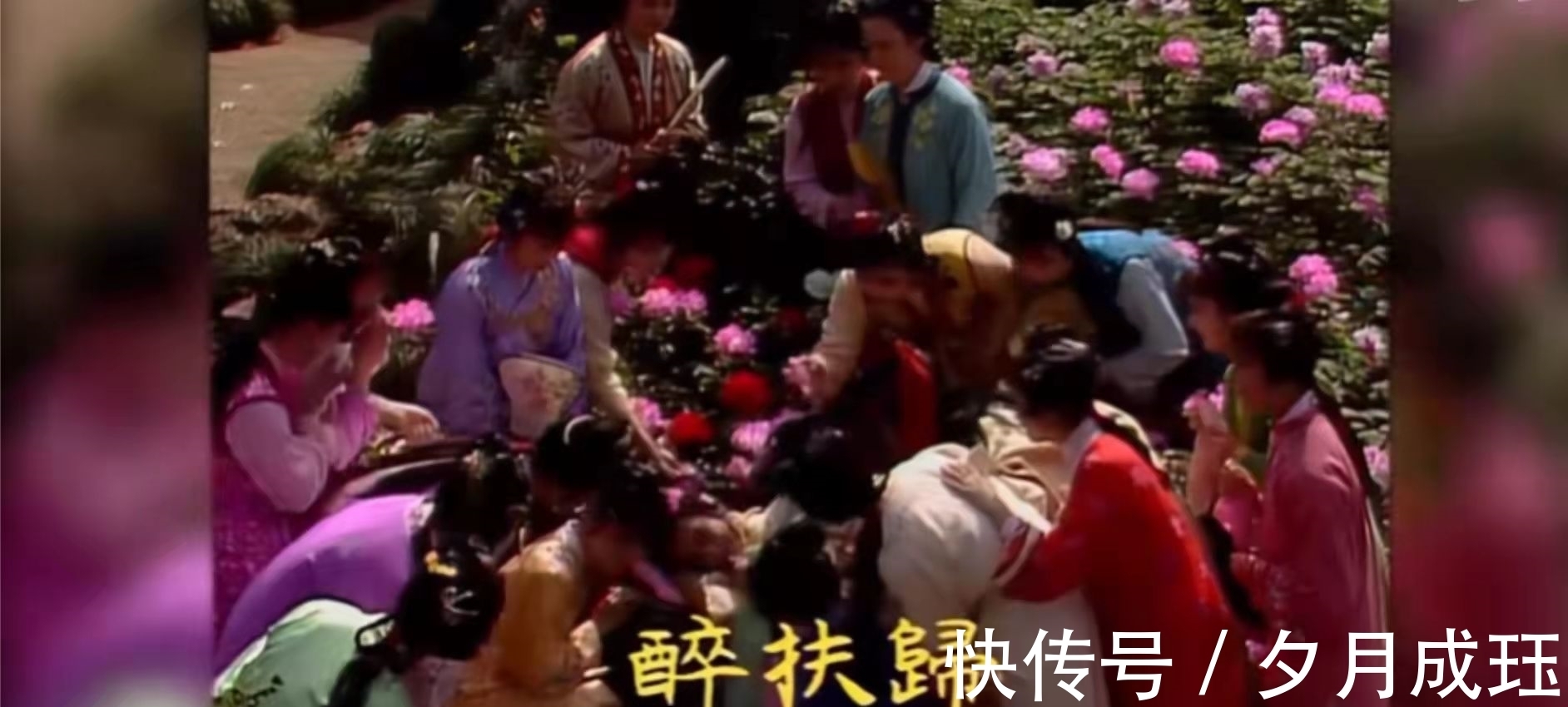 芍药!没有对比就没有伤害,一个简单的睡姿,看两版《红楼梦》的差距