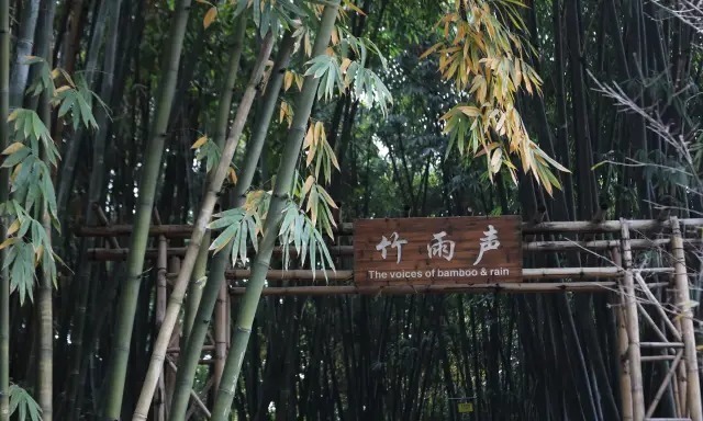 宋词!南宋词人蒋捷的一首词,写尽了一生的委屈,成为宋词里的压卷之作