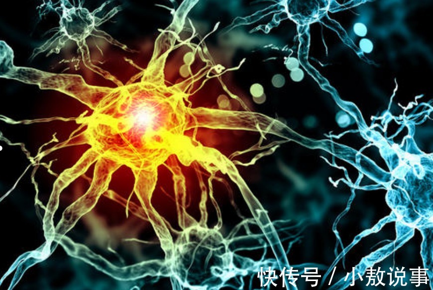 痴呆|新版老年痴呆测试出炉:只花3分钟,测出你患痴呆的可能性有多大