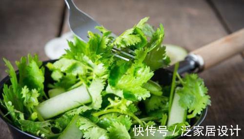 甲之蜜糖|香菜好吃难保存，菜农教你几招，比直接放冰箱还管用