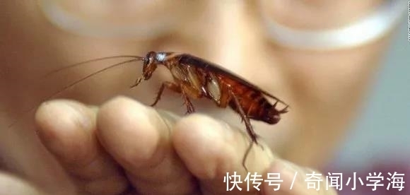 24个冷知识:生物老师看完直呼不可思议,但却真实存在的有趣知识。