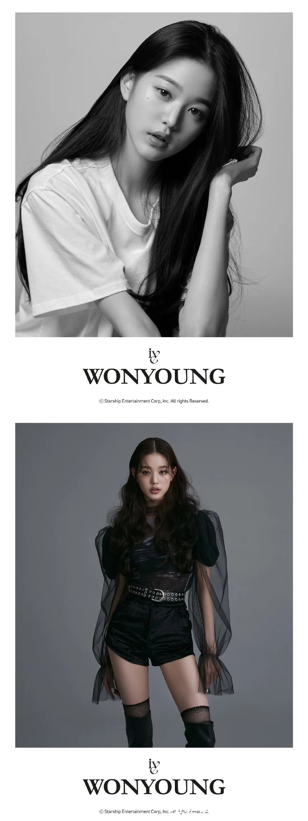 如何认星船新女团IVE全成员呢!