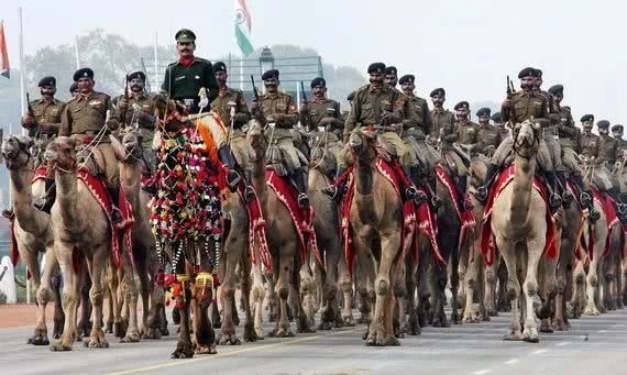 阿富汗人|波斯帝国晚期与印度的一场战争，印度派出大象兵，波斯放出骆驼兵