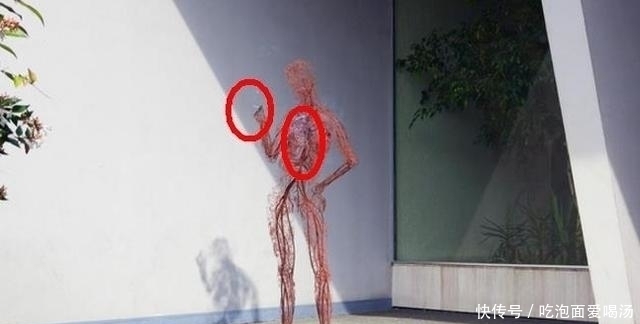 猎奇君&他在作品中将人的皮肤变成透明,看完后感觉不能直视身体了!