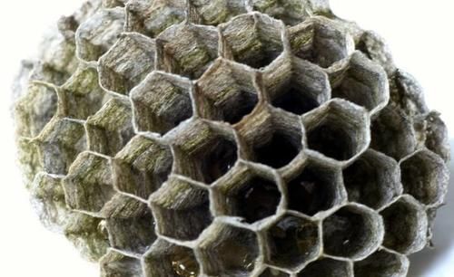 乳腺增生|甲状腺、乳腺结节的根源在哪?中药如何调理?这一篇都为你讲明白