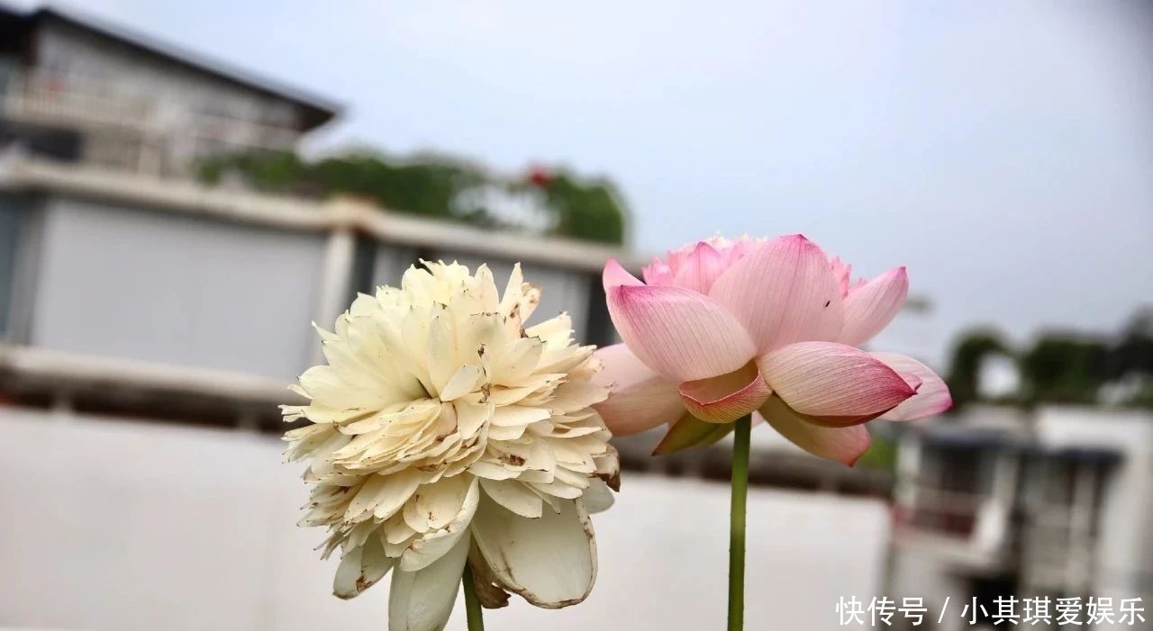 中国历史@记住老祖宗这三句话,家庭兴旺之本,句句值千金