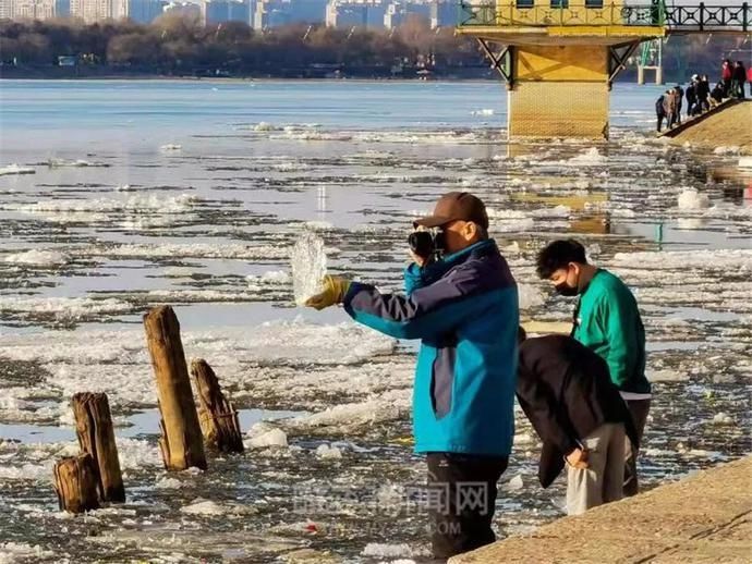 这才是最美的“快消”｜冰城特供，只此一季#超多美图【网络中国节·清明】