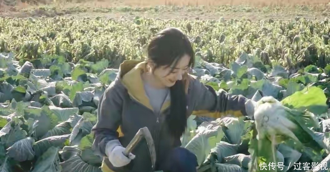 赵丽颖下地干农活状态好，动作麻利力气大，面带微笑超接地气