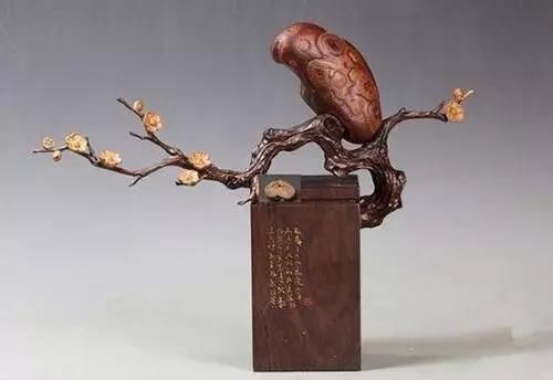 石头|这种石头堪比翡翠,五年时间升值万倍,随便一块可以换套房