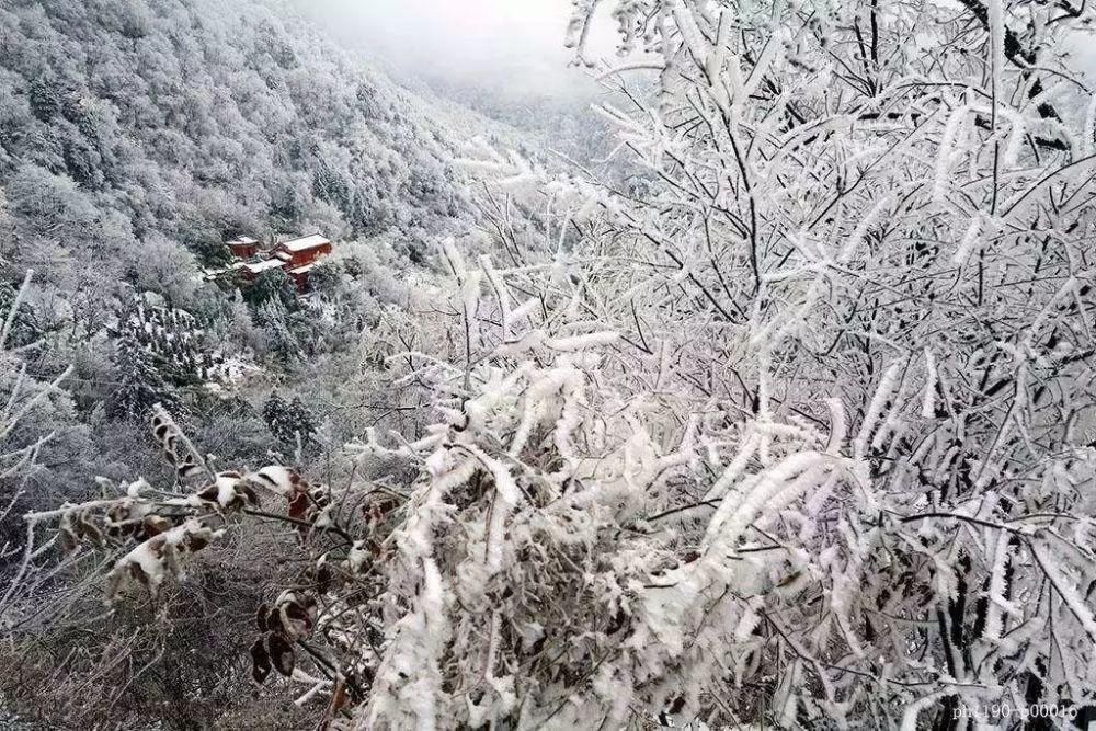 银装素裹|下雪了，银装素裹下的湖北绝美大片