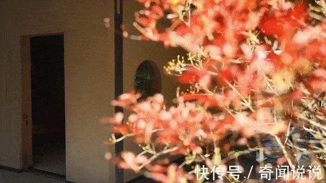 穷人|日本穷人住别墅，富人住公寓这些别墅富人都不一定买得起