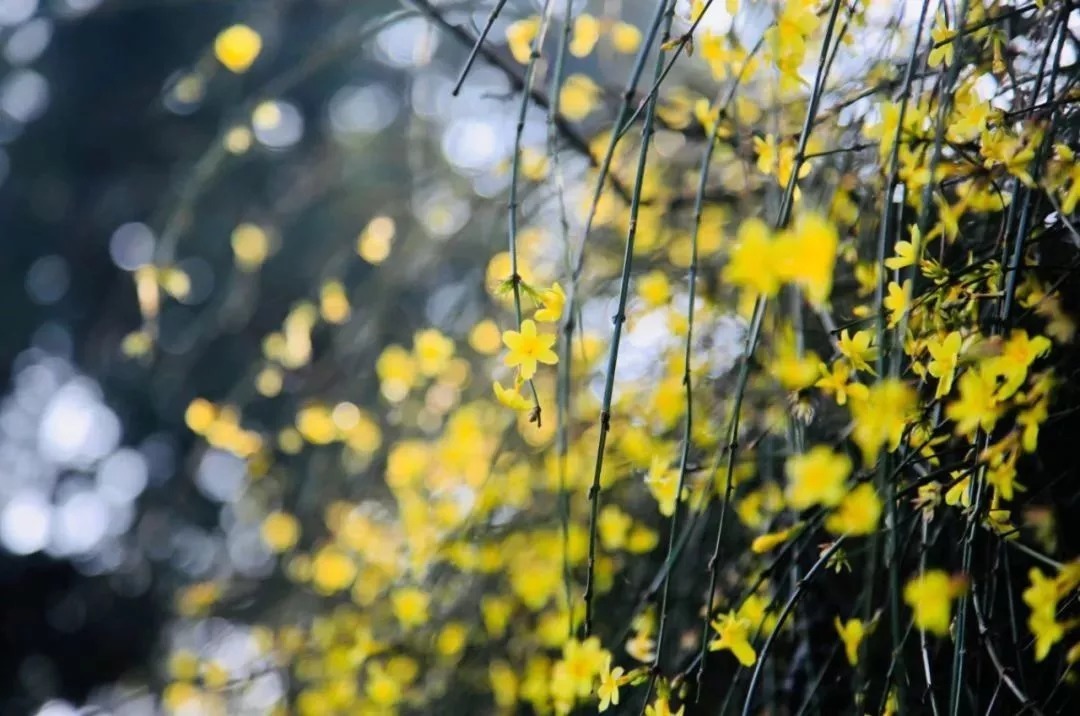 子綦|“静坐”益处多：自省增慧，修身养德