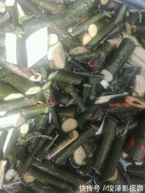 羊粪|路边捡来4种小东西,丢在盆底,一年不用施肥,也不怕烂根!