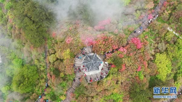 湖北麻城龟峰山：半山云雾半山红