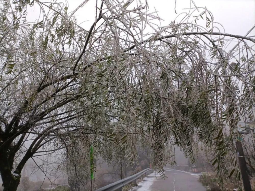 雪景|丽水这些地方下雪了，美炸了~最新雪景美图，请签收