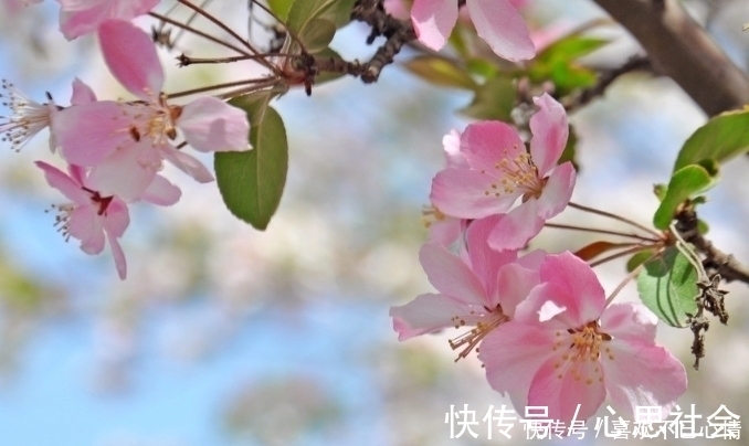 几个月份|女人出生在这几个月份的，天生自带鸿运，一生衣食无忧！