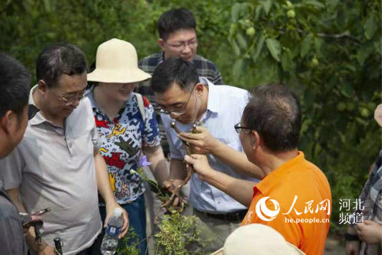 五运六气|北京中医药大学带领专家来到平山义诊研学