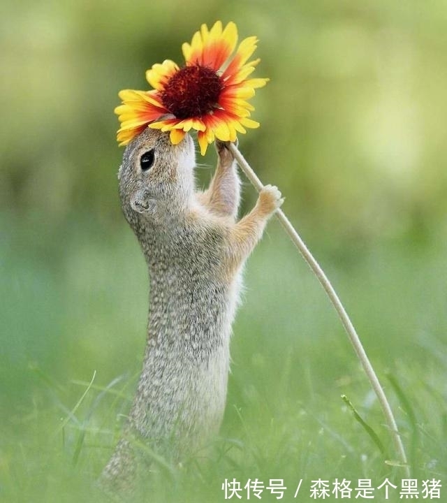 |能解闷的经典搞笑段子,一句够笑一天,越看越开心