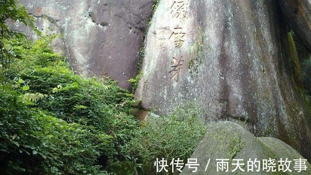 大红袍|谁才是中国最名贵的茶叶是大红袍吗