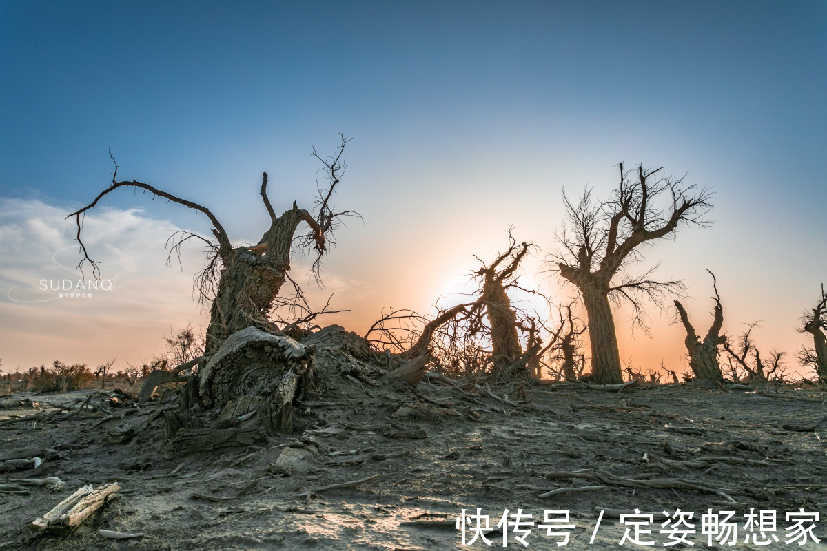 沙漠|神秘的塔克拉玛干沙漠，藏有“生命禁区”，却吸引无数探险者