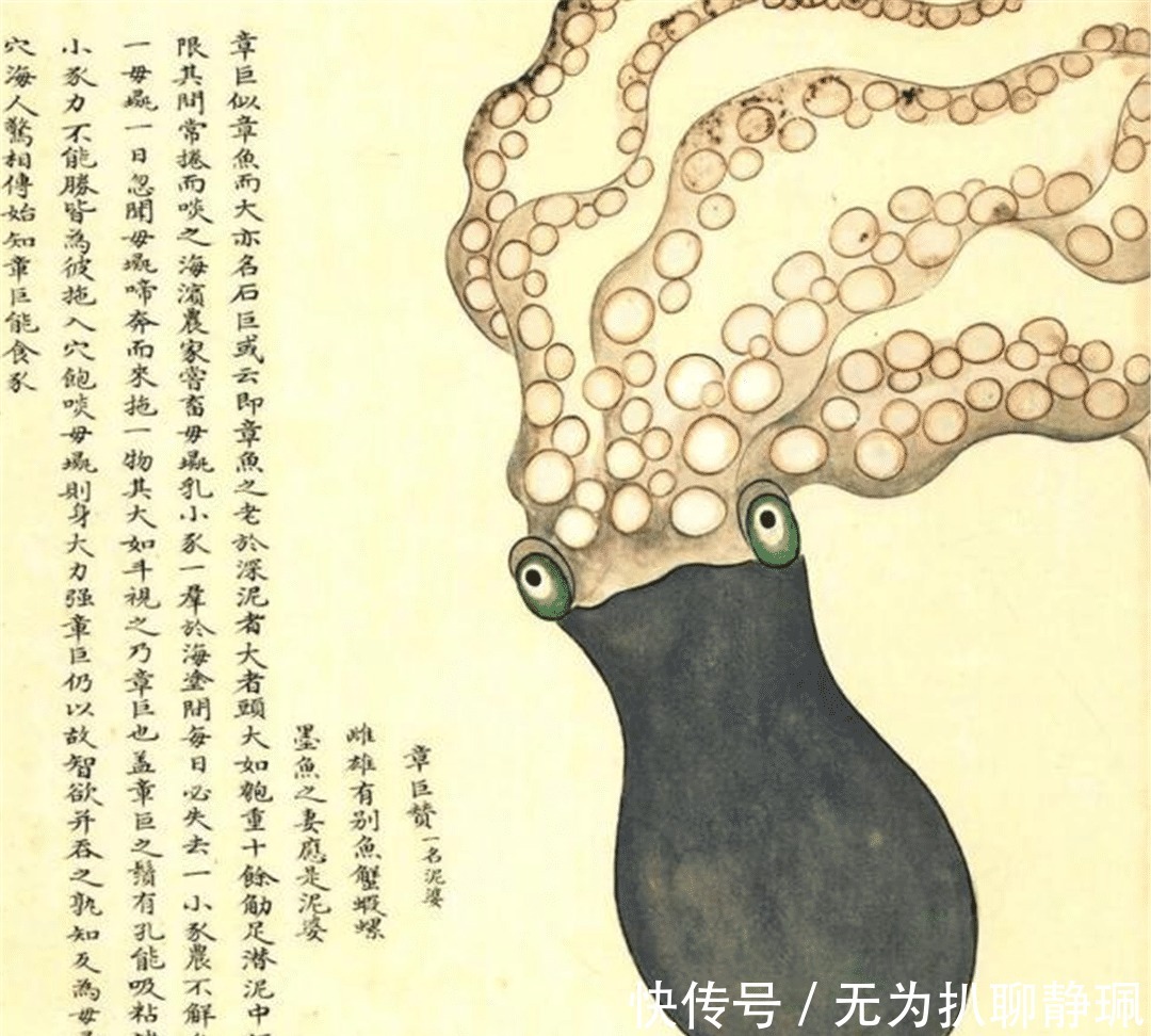 画谱|乾隆枕边翻烂的画谱,被称为清代《山海经》,画中动物达300种