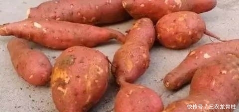 保存红薯一年不烂,农村老人教我诀窍,第一步才是关键,越放越甜