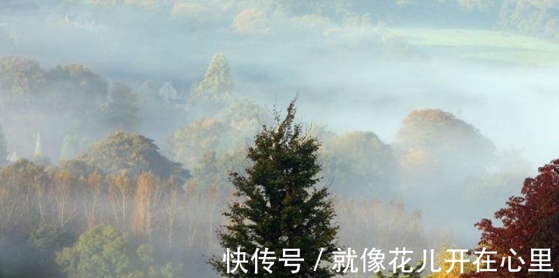 情诗&李商隐最令人绝望的一首诗,开篇就是千古名句,最后一句神来之笔