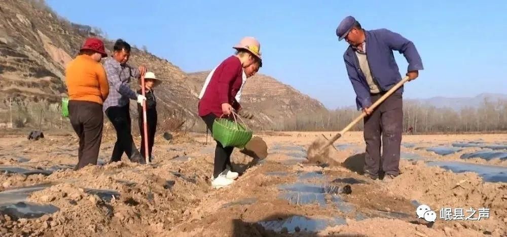 岷县的春夏秋冬，看不够！