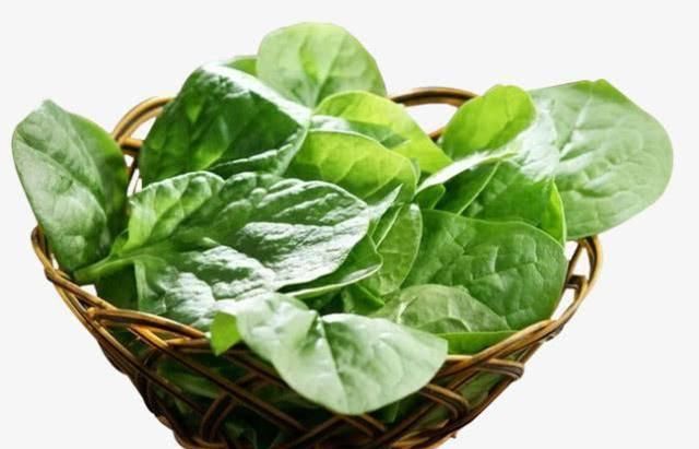 苋菜|坐月子不能吃香菜吗？月子里吃蔬菜，5吃5不吃，有营养才健康