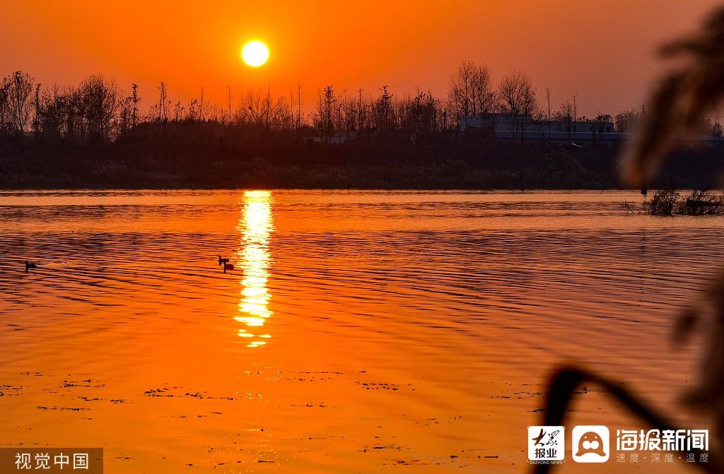 湿地|图看日照｜湿地夕阳红