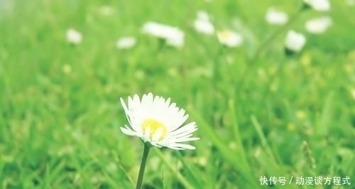 曾国藩|增广贤文五:想要规劝别人,说话要先有分量