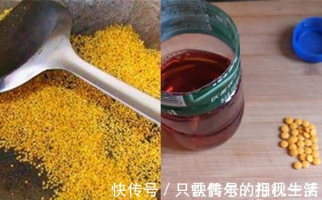 素饵|仲春野钓大板鲫，守钓不如走钓，死等不如逗钓，要打“游击战”