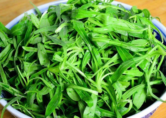 面条草|此物被称面条菜，全身都是宝，止咳消肿降血糖，为健康值得了解