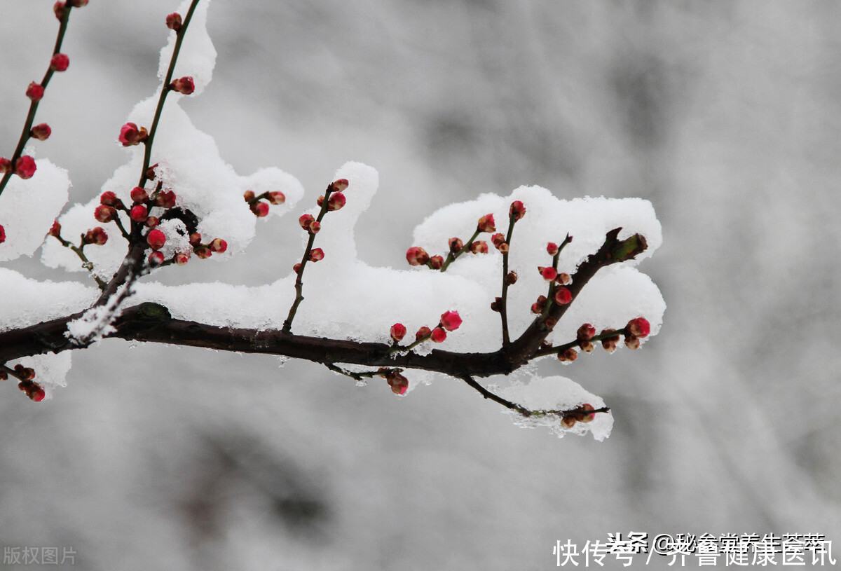 大雪|大雪节气吃什么最养生