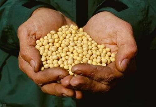 优质蛋白|14男孩身高突破178，儿科医生：3物或是身高“拉长剂”，建议多吃