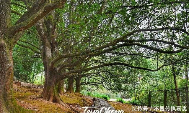 超全|和顺古镇怎么逛?送上超全指南!走访那些记录历史的文化景点~