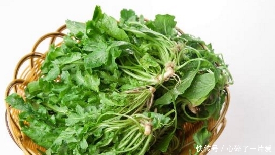 胡萝卜素|农村这曾被用来喂猪的野菜，如今可是城里人高价都要买来吃的佳肴